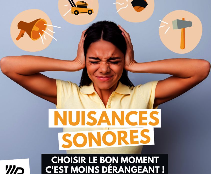 nuisances sonores