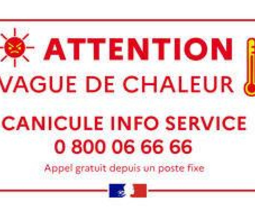 CANICULE ROUGE