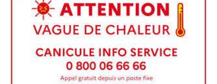 CANICULE ROUGE