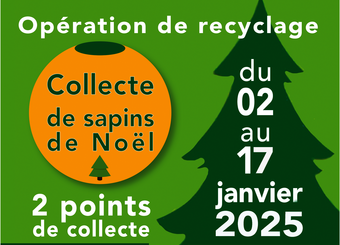 affiche collecte sapins 2024