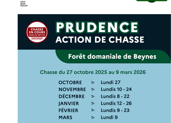 Chasse forêt de beynes 2025-2026
