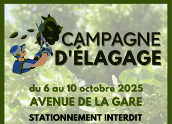élagage 2025