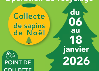 collecte sapins 2026
