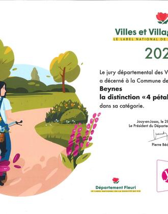 Beynes 4 pétales