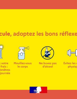 canicule réflexes