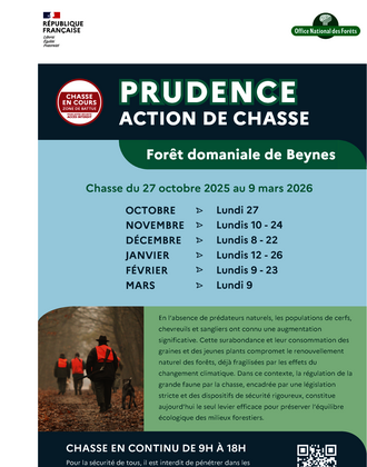 Chasse forêt de beynes 2025-2026