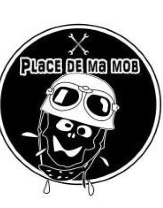 LOGO PLACE DE MA MOB