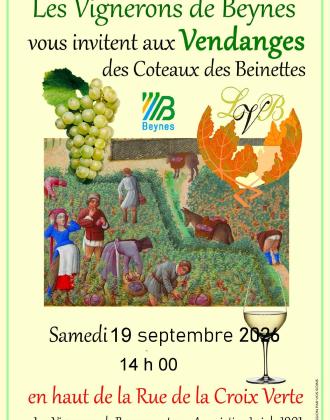 Vendanges 2026