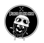 LOGO PLACE DE MA MOB