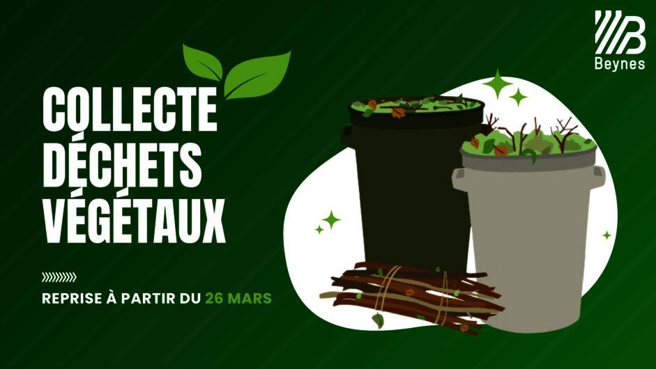 Collecte déchets végétaux