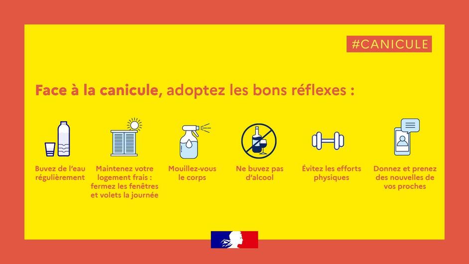 canicule réflexes