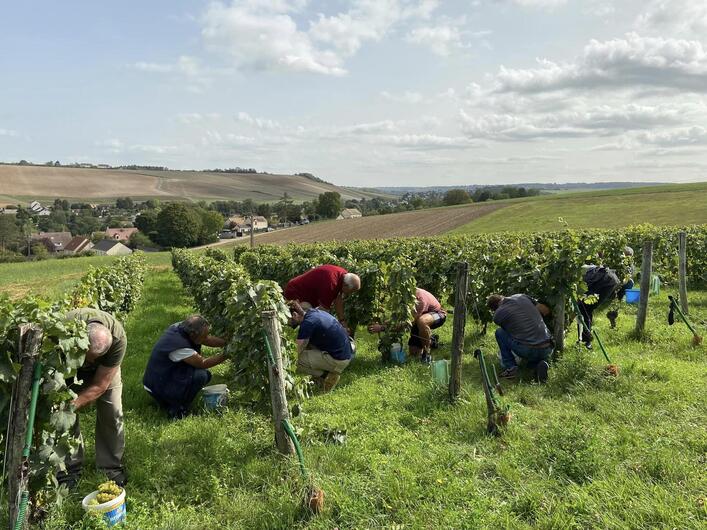 vendanges beynes