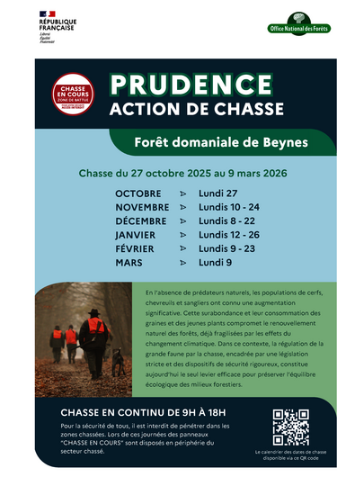 Chasse forêt de beynes 2025-2026