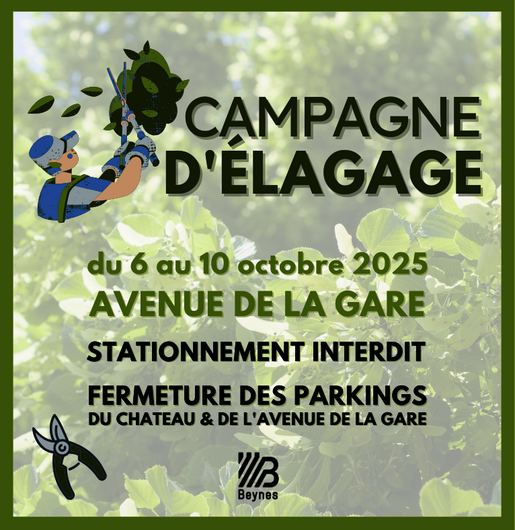élagage 2025