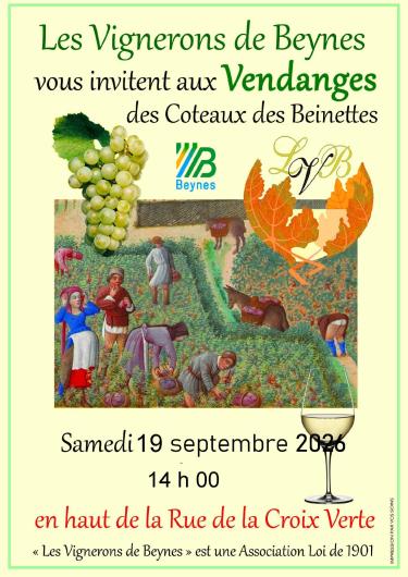 Vendanges 2026