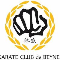 Logo KCB