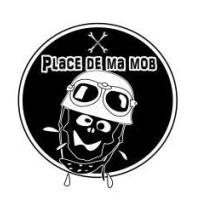 LOGO PLACE DE MA MOB