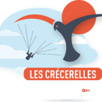 Logo les crécerelles