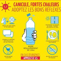 fortes chaleurs canicule réflexes