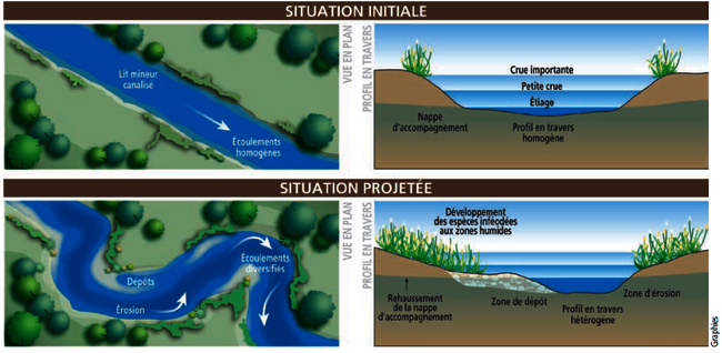 projet renaturation de la Mauldre