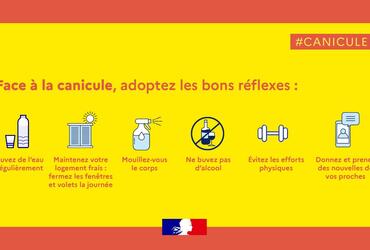 canicule réflexes