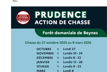 Chasse forêt de beynes 2025-2026