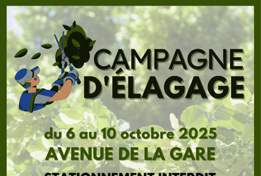 élagage 2025